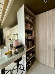 Starlight Suites (D9), Apartment #507519431